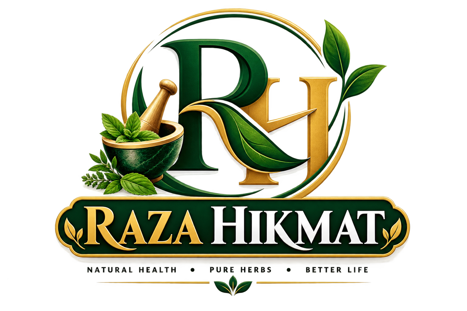 Raza Hikmat